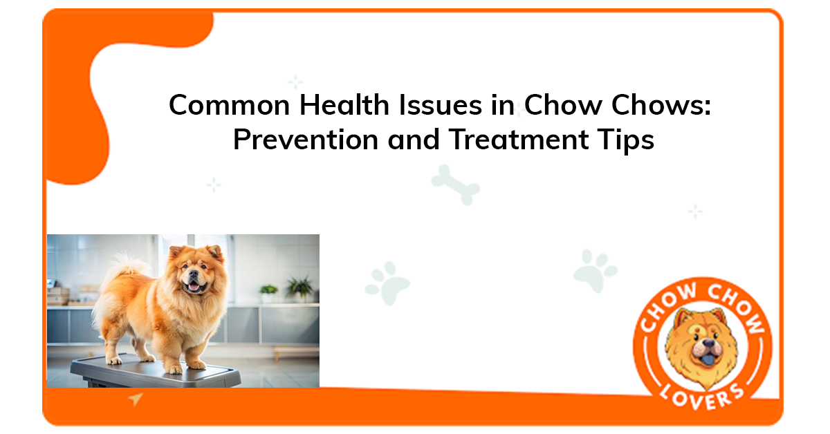 Common Health Issues in Chow Chows: Prevention and Treatment Tips