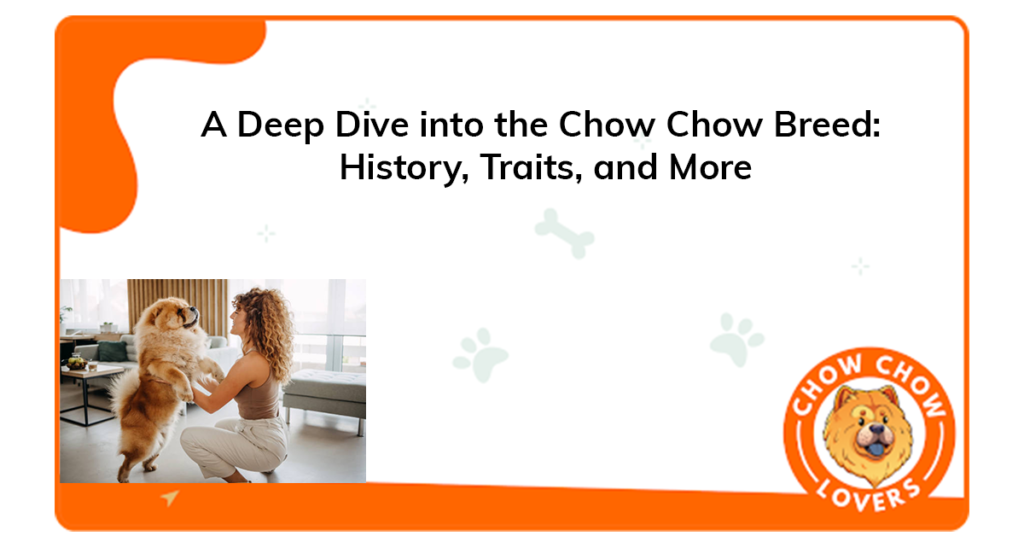 deep-dive-chow-chow-breed-history-traits-more