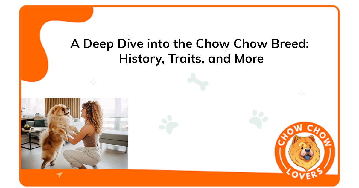 A Deep Dive into the Chow Chow Breed: History, Traits, and More