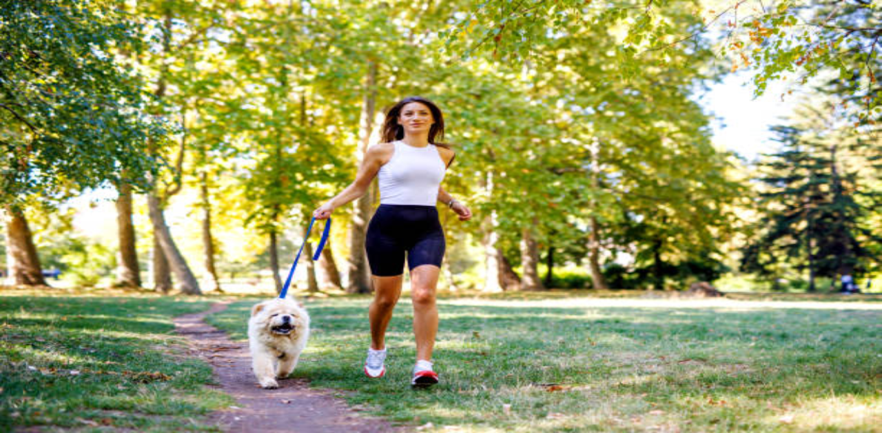 exercise-routines-for-chow-chow-dogs