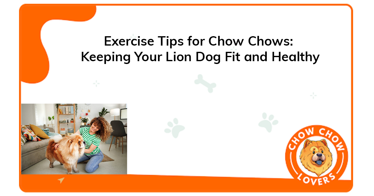 Exercise Tips for Chow Chows: Keeping Your Lion Dog Fit and Healthy