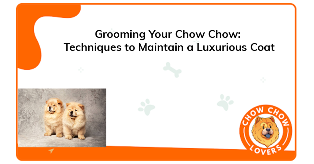 grooming-your-chow-chow-techniques-to-maintain-a-luxurious-coat