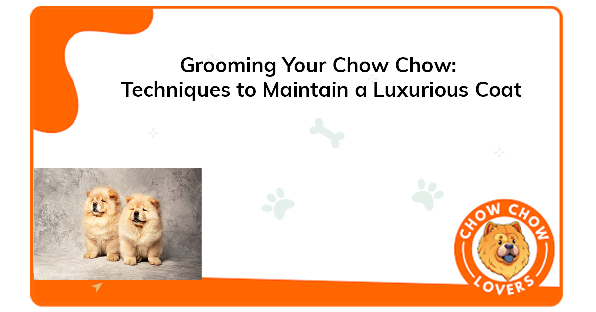 Grooming Your Chow Chow: Techniques to Maintain a Luxurious Coat