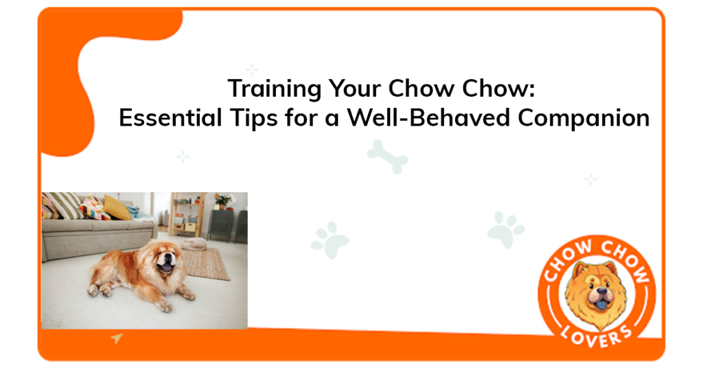 training-your-chow-chow-essential-tips-for-a-well-behaved-companion