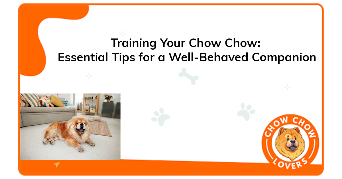 Training Your Chow Chow: Essential Tips for a Well-Behaved Companion