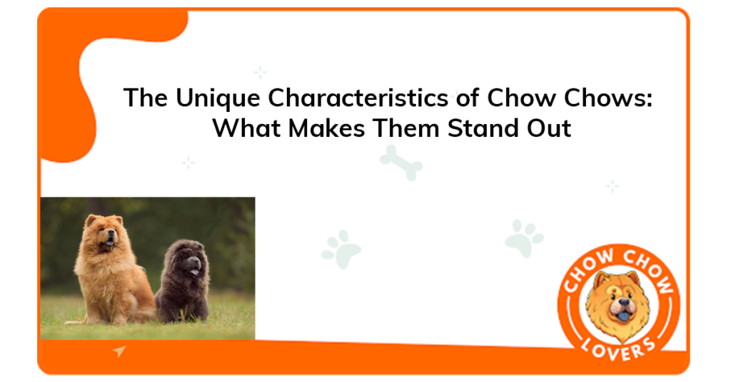 unique-characteristics-of-chow-chows-what-makes-them-stand-out